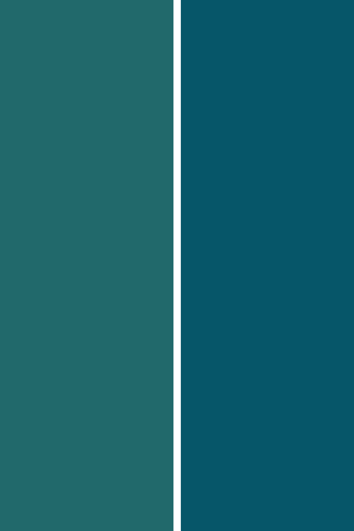 Create timeless, versatile looks with the Green & Blue 2-Pack from Bessie Bakes Backdrops. Featuring two sophisticated shades—Dusty Teal (#21696B) and Dark Sapphire (#065669)—this backdrop set is perfect for adding depth and elegance to your photos. These colors complement a wide range of subjects, making them ideal for product photography, portraits, or food styling.

Crafted from lightweight, roll-up material, these backdrops are moisture & stain-resistant, ensuring durability and ease of use in any setting. Whether you're working in a studio or on location, these rich colors help create a balanced contrast that draws attention to your subject without overpowering the scene.