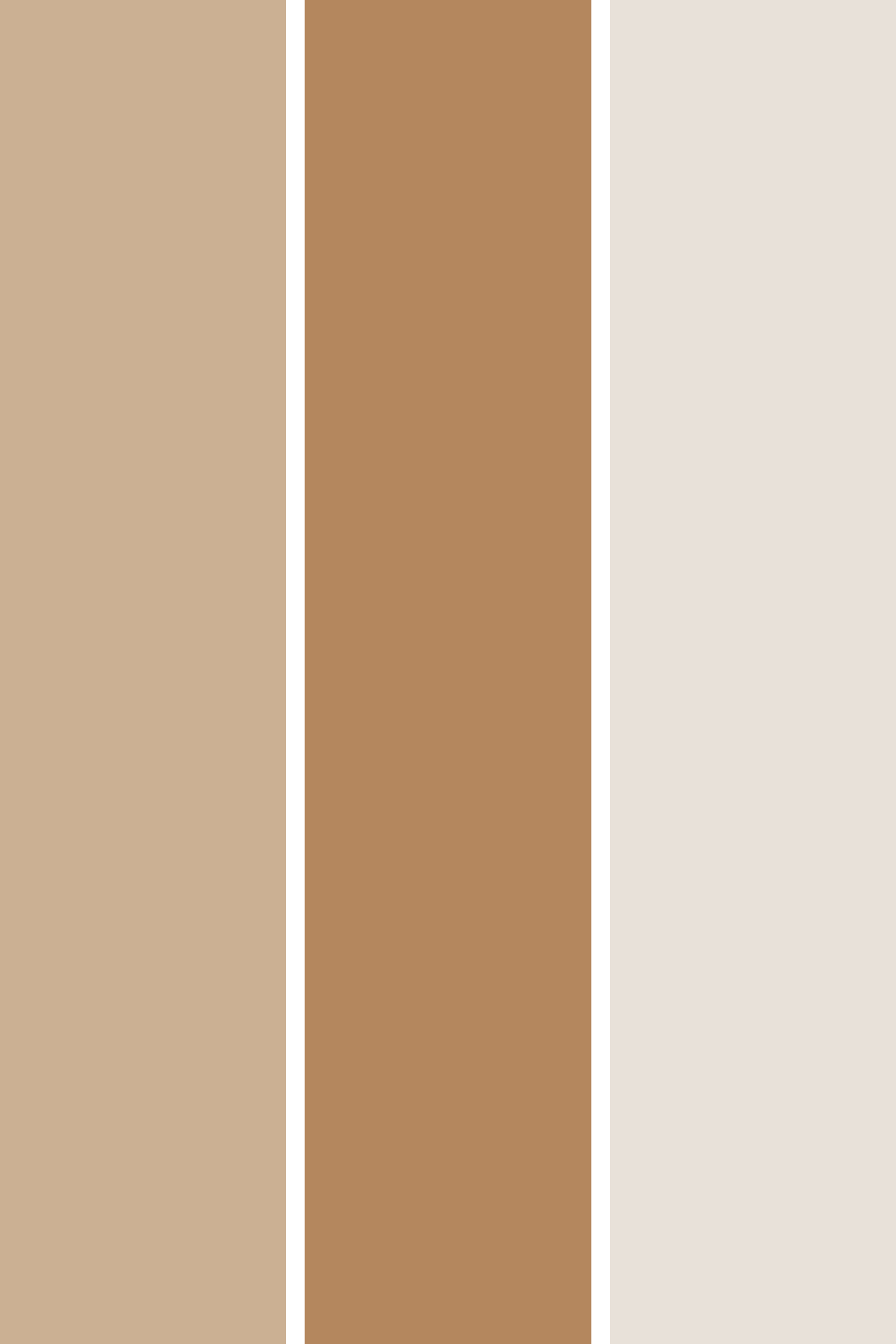 Achieve a timeless and neutral aesthetic with the Natural Brown 3-Pack from Bessie Bakes Backdrops. This set features three soothing shades—Light Taupe (#CBB093), Beige (#B4875E), and French Vanilla (#E8E1D9)—designed to add warmth and subtle elegance to your photography. These versatile colors are perfect for creating a minimalist, rustic, or organic backdrop, ideal for food styling, product photography, and portrait sessions.

Crafted from thin, lightweight material that can easily be rolled up, these backdrops are moisture and stain-resistant, ensuring they remain durable through multiple uses and setups. Whether in a studio or on-location, this collection complements a wide range of subjects, keeping the focus on the details of your shot.