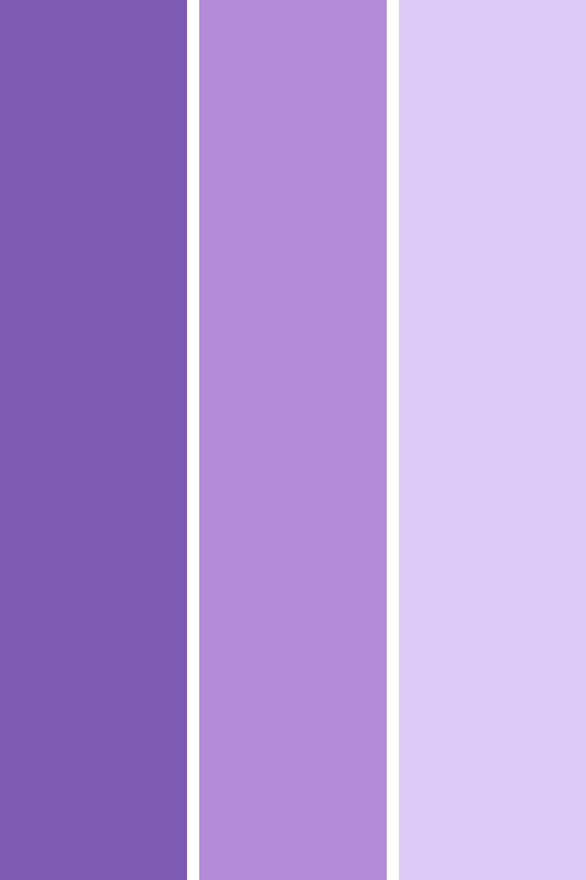 Bessie Bakes Lavender Solid Color Roll-Up 2 Feet x 3 Feet Photography Backdrops 3 Pack