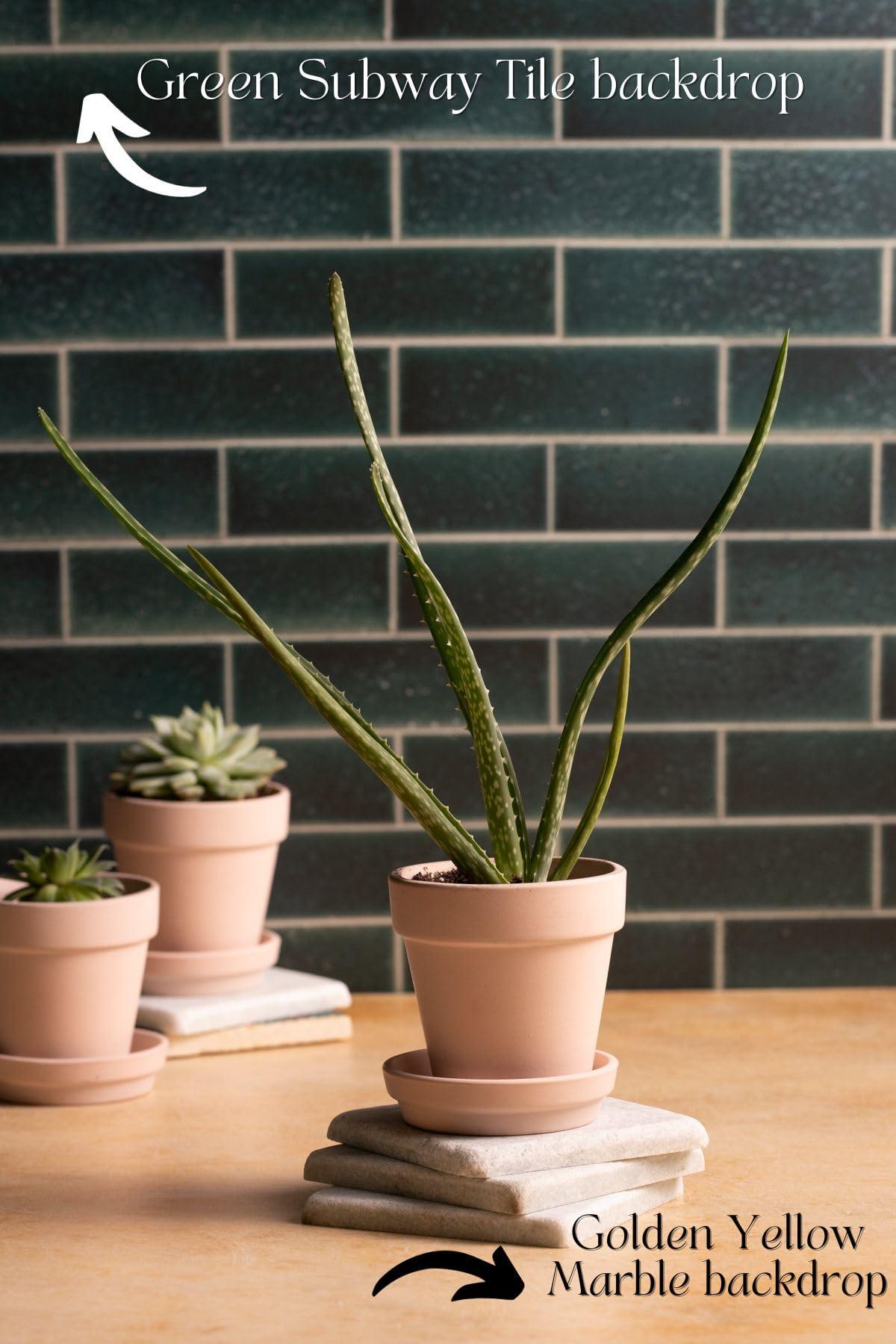 Bessie Bakes Super-Thin Green Subway Tile with White Grout Replicated Photography Backdrop 2 Feet Wide x 3 Feet Long