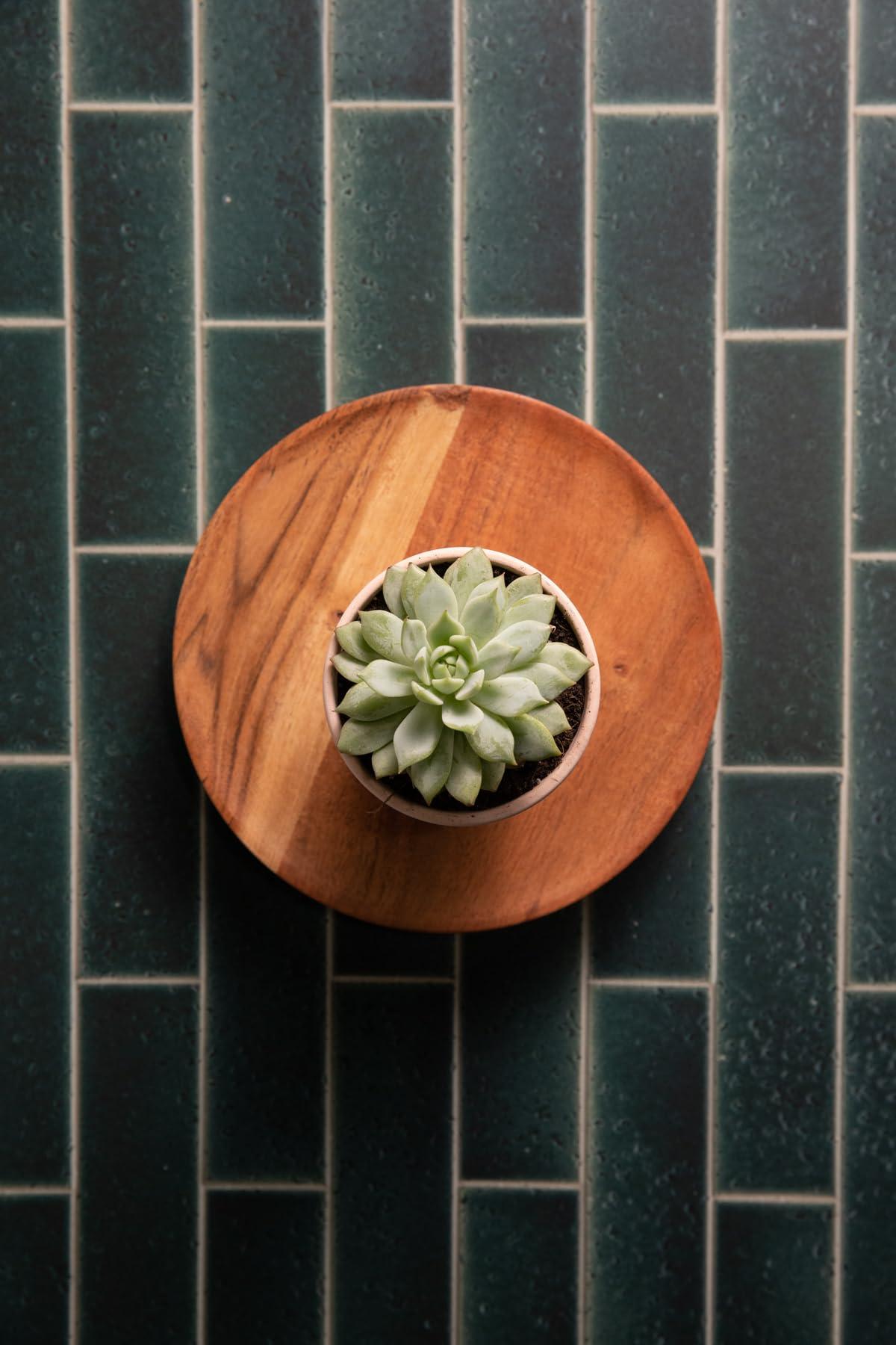 Bessie Bakes Green Subway Tile White Grout Replicated Photography Backdrop 2 Feet Wide x 3 Feet Long 3 mm Thick